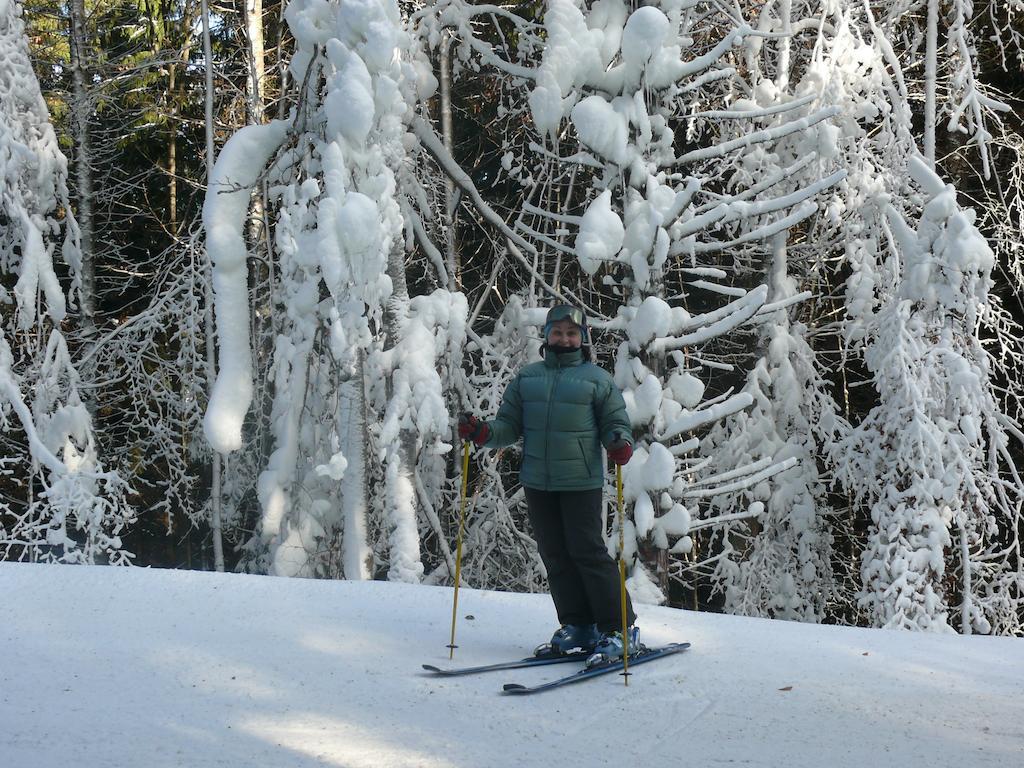 Chalet Truten 보로크타 외부 사진